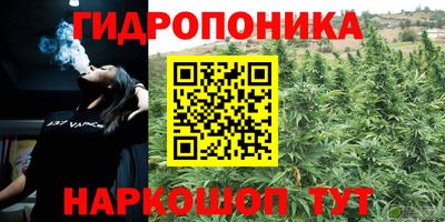 ГАЛЛЮЦИНОГЕННЫЕ ГРИБЫ Владивосток