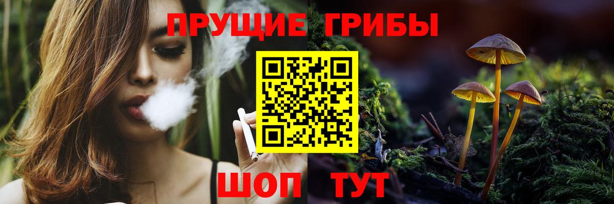 Псилоцибиновые грибы Magic Shrooms  купить наркотик  Алатырь  Вход с VPN 